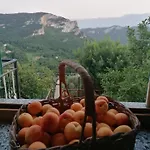 Caruggiu Di Via Vecchia
