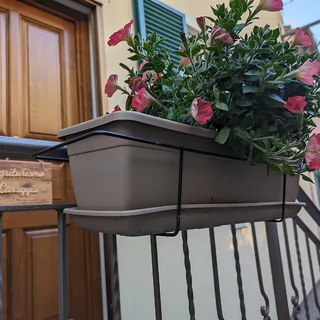 Caruggiu Di Via Vecchia