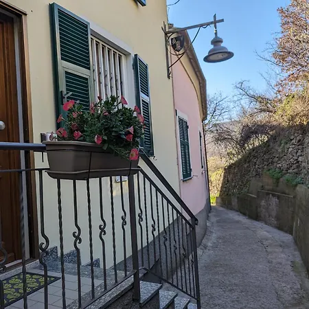 Lantgård Caruggiu Di Via Vecchia