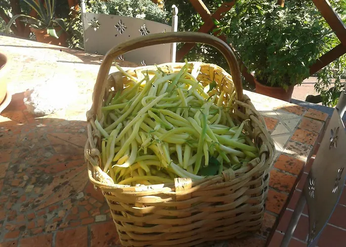 Caruggiu Di Via Vecchia