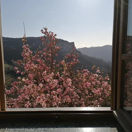 Caruggiu Di Via Vecchia Orco Feglino