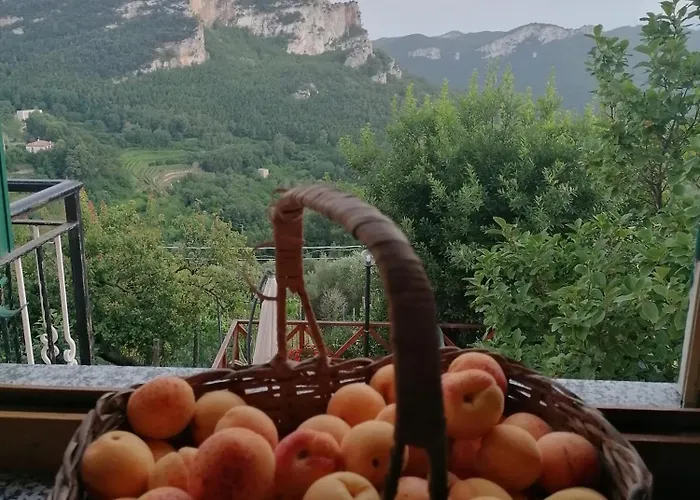 Caruggiu Di Via Vecchia